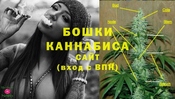 амф Инта