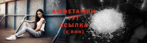 спиды Инсар