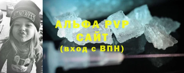 амф Инта