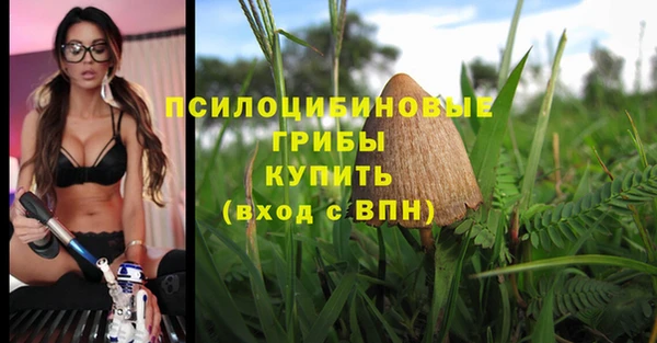 амф Инта