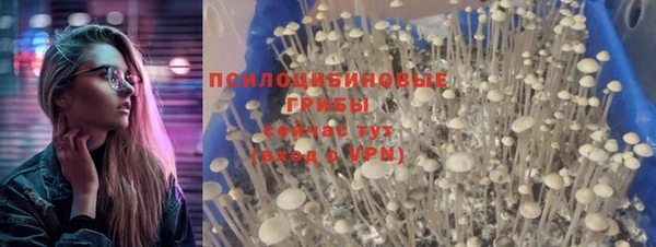 спиды Инсар