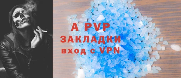 спиды Инсар